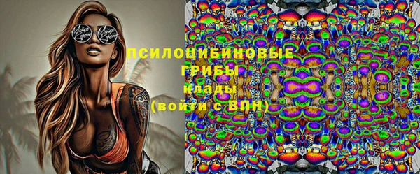 амф Беломорск