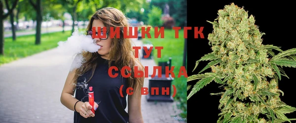 Альфа ПВП Белокуриха