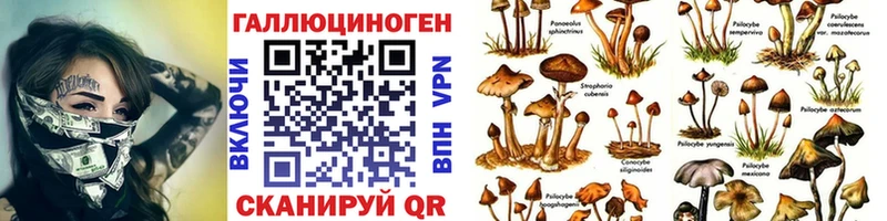 Галлюциногенные грибы ЛСД  Ворсма 