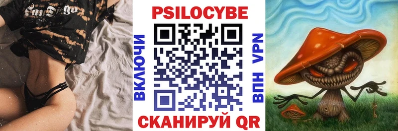 Псилоцибиновые грибы Cubensis Ворсма