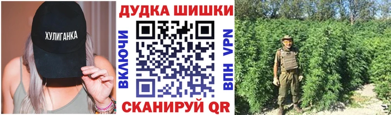 Каннабис ГИДРОПОН  Ворсма 